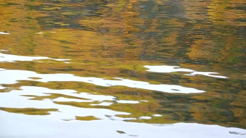 The yellow reflection of the forest fall in the water Stock Footage 96483303