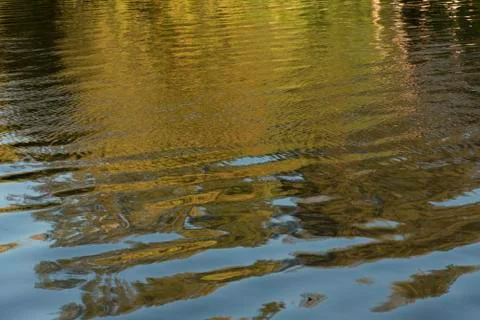 Yellow Reflection in the River Stock Photos