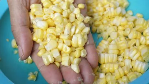 Yellow ripe corn kernels that have been removed from the cob Stock Photos