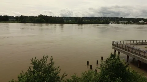 Yellow river in Canada with floating logs on cloudy day Stock Footage 219912783