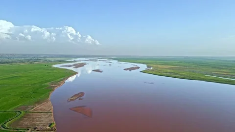 Yellow River Plain - Agricultural Fields - Aerial Photography of Rice Fields 動画素材 257902341