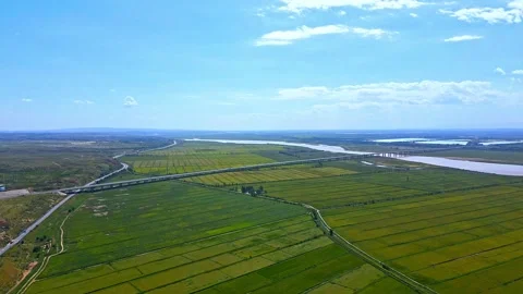 Yellow River Plain-paddy irrigation area 動画素材 257988367