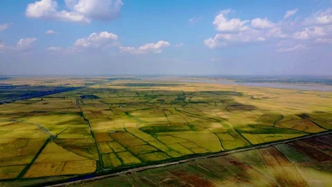Yellow River Plain - Rice Fields - Land - Grain Producing Areas Stock Footage 259134328