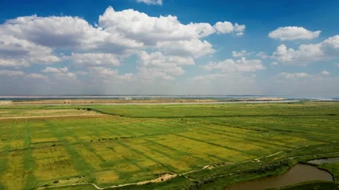 Yellow River Plain - River Beach 動画素材 258090332