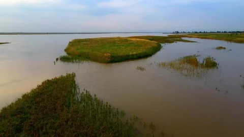 Yellow River - river surface - wetland - river beach Vídeo Stock 259133787