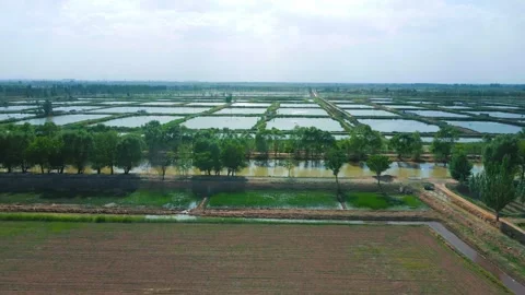 The Yellow River water conservancy irrigates fertile agricultural land Stock Footage 258083426