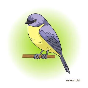 Yellow robin bird educational game vector Stock Illustration