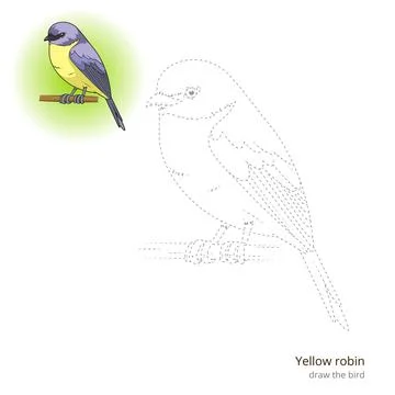 Yellow robin bird learn to draw vector Stock Illustration