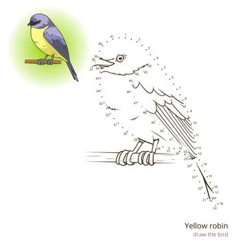 Yellow robin bird learn to draw vector Stock Illustration