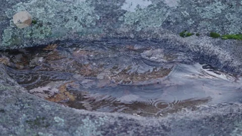 Yellow Rock Splashing On A Puddle In A Boulder With Submerged Brown Leaves Stock Footage 325774960