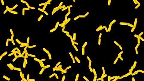 Yellow Rod Shaped Bacteria Falling Against a Solid Black Background Stock Footage 340195357