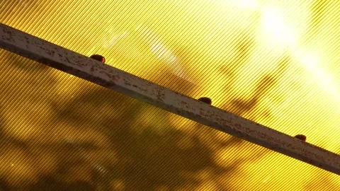 Yellow roof with tree shadow reflection Stock Footage 318452364