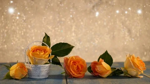 Yellow rose Stock Footage 125728920