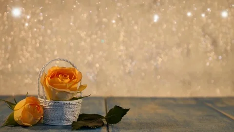 Yellow rose Stock Footage 125728921