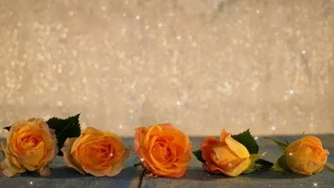 Yellow rose Stock Footage 125728922
