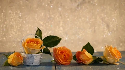 Yellow rose Stock Footage 125728924