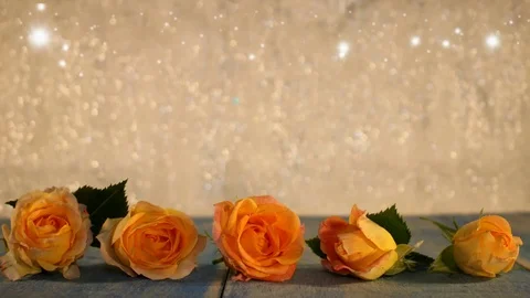 Yellow rose Stock Footage 125728931