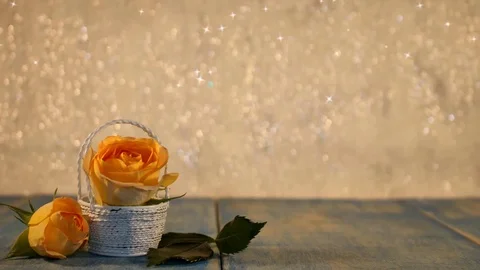 Yellow rose Stock Footage 125728941