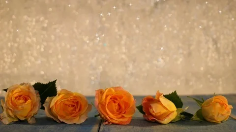 Yellow rose Stock Footage 125728942