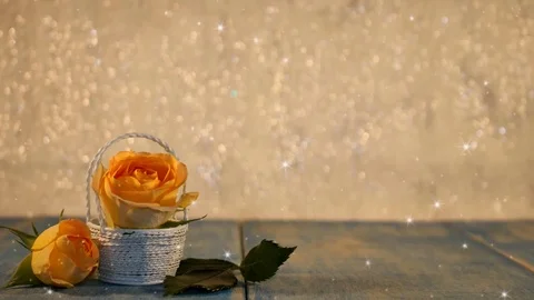 Yellow rose Stock Footage 125728949