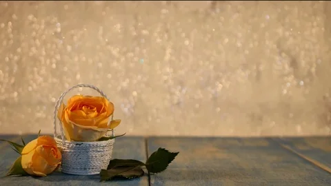 Yellow rose Stock Footage 125728953