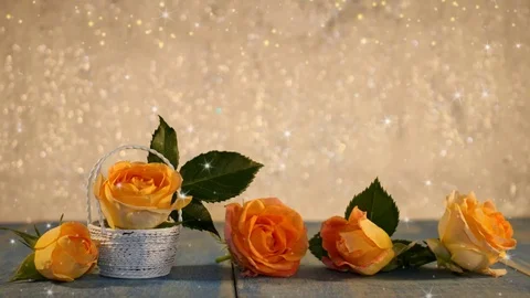 Yellow rose Stock Footage 125728993