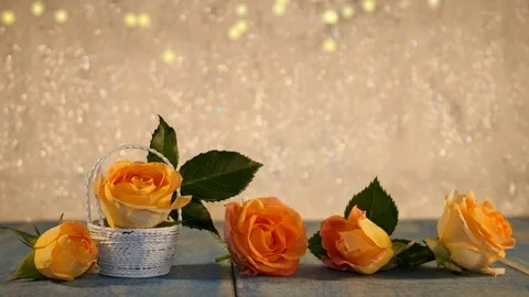 Yellow rose Stock Footage 125728994
