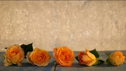 Yellow rose Stock Footage 125728999
