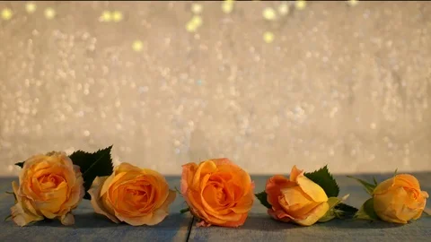 Yellow rose Stock Footage 125729001