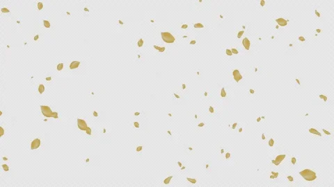 Yellow Rose Petals Falling with Alpha Channel Transparent Overlay Stock Footage 332425398