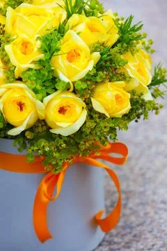 Yellow rose Stock-Fotos