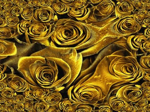Yellow roses abstract Stock Illustration