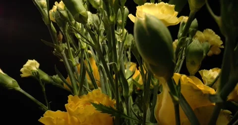 Yellow Roses and Carnations Pan Up Stock Footage 170134522