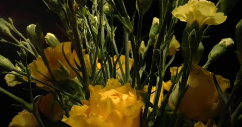Yellow Roses and Carnations Rotating Option 1 Stock Footage 170136467
