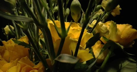 Yellow Roses and Carnations Rotating Black Background Option 3 Stock Footage 170136480