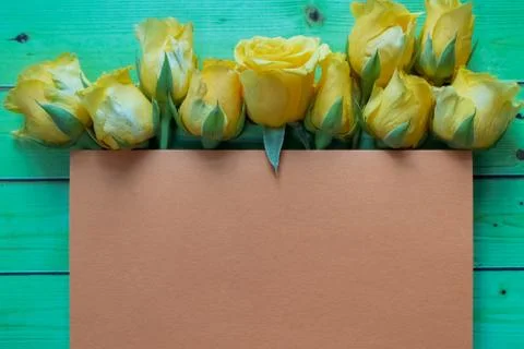 Yellow roses and space for text. Women' s day, Mothers day Stock Photos