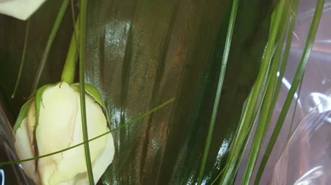 Yellow Roses Stock Footage 52487706