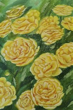 Yellow roses Stock Illustration