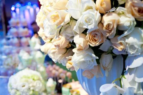 Yellow roses Stock Photos