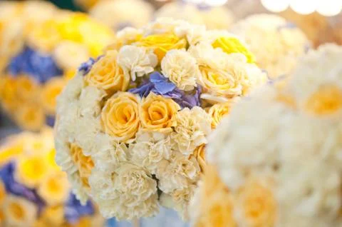 Yellow roses Stock Photos