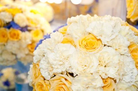 Yellow roses Stock Photos
