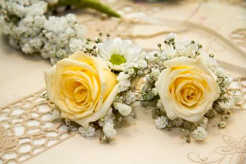Yellow roses 스톡 사진