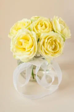 Yellow roses Stock Photos