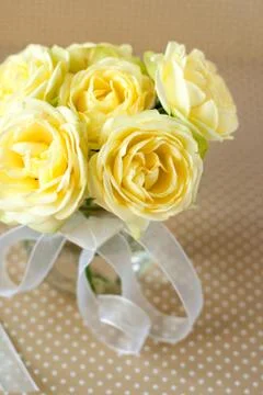 Yellow roses Stock Photos