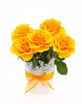 Yellow roses Stock Photos