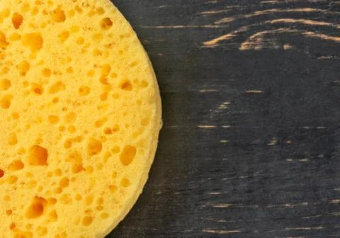 Yellow round sponge Stock Photos