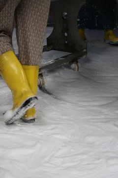 Yellow rubber boots stepping through thick white foam beside metal trolley Foto stock