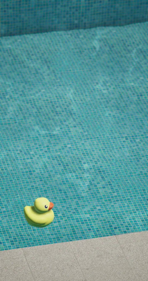 Yellow rubber duck floating in a clear blue swimming pool Stock Footage 312622200