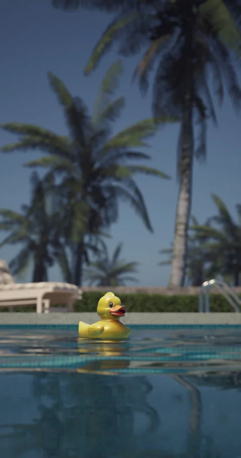 Yellow rubber duck floating in a clear blue swimming pool Stock Footage 312704778