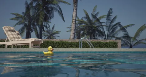 Yellow rubber duck floating in a clear blue swimming pool Stock Footage 312705363